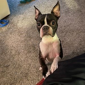 Meet your Posher, Jason